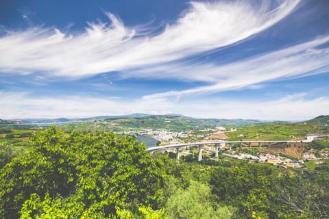 Neighbourhood, Natural landscape, Bird's eye view, Hiking