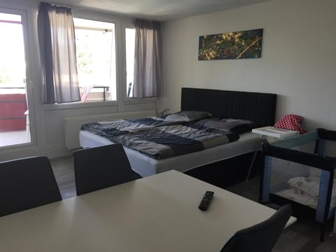 Ferienwohnung Reinhold Apartment in Straubing-Bogen