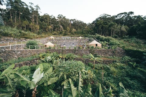 Property building, Garden, Balcony/Terrace