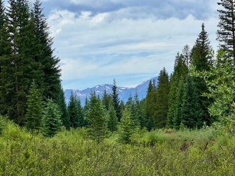 Alders 854 By SummitCove Lodging House in Keystone