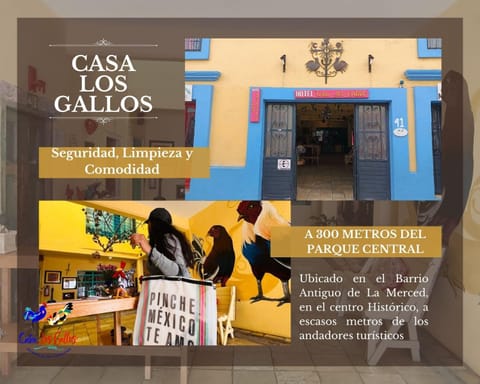 Casa Los Gallos Hotel in San Cristobal de Casas