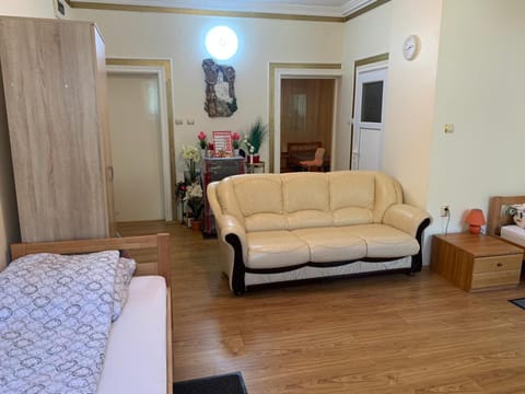 Apartman Pejica Apartment in Zlatibor District, Serbia