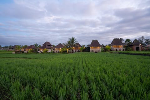 Uma Sebatu Villa Hotel in Tampaksiring