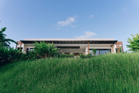 Property building, Day, Natural landscape, Garden, Garden view