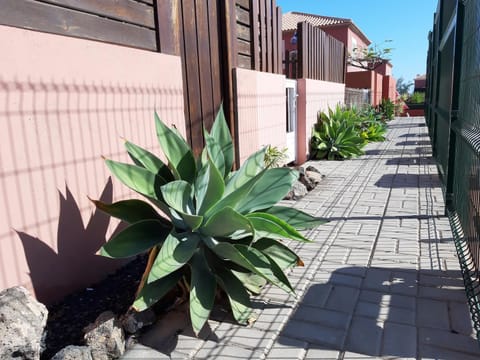 Duplex Aloe Condominio in Maxorata