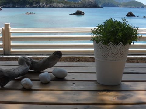 Patio, Garden, Beach, Garden view, Sea view