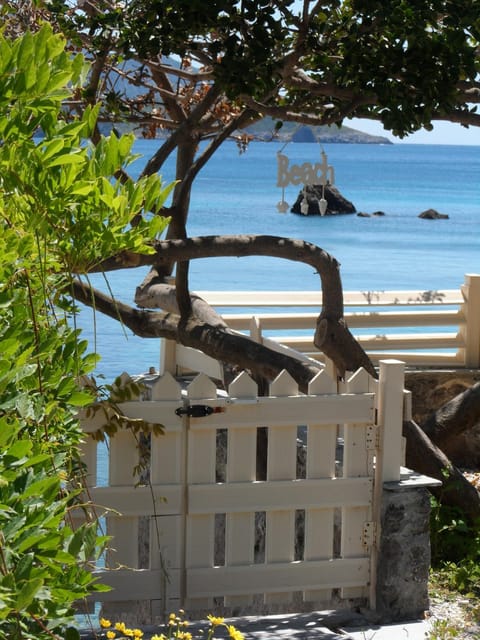 Patio, Garden, Beach, Garden view, Sea view