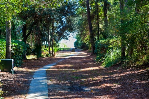 3 Whistling Swan Haus in Hilton Head Island