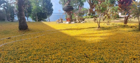 Bohol-Lahoy Dive Resort Resort in Central Visayas