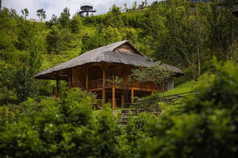 Property building, Natural landscape