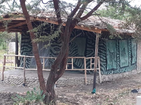 Mikumi Faru Tented Camp Luxury tent in Tanzania
