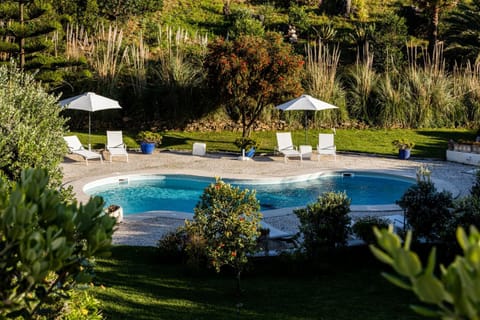 Pool view, Swimming pool, sunbed