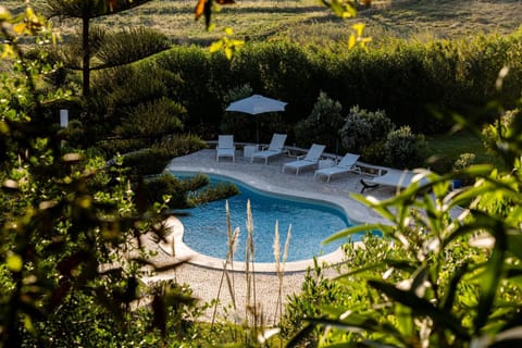 Pool view, Swimming pool, sunbed