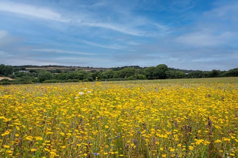 View (from property/room), View (from property/room)