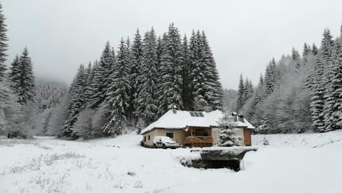 Cabana Pietricica Chalet in Brașov County