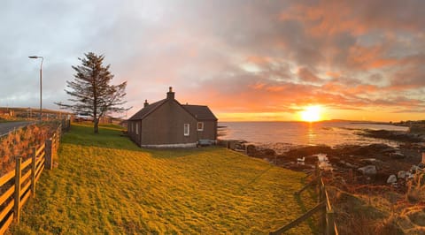 Garden, Sunrise