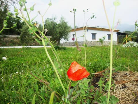 Casa Rural La Chumbera Villa in Costa Tropical