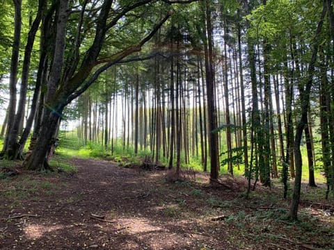 Zimmer mit Bergblick Casa vacanze in Starnberg