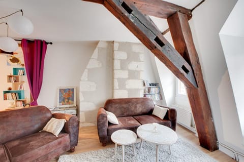 Le Grand Mirebeau Apartment in Bourges