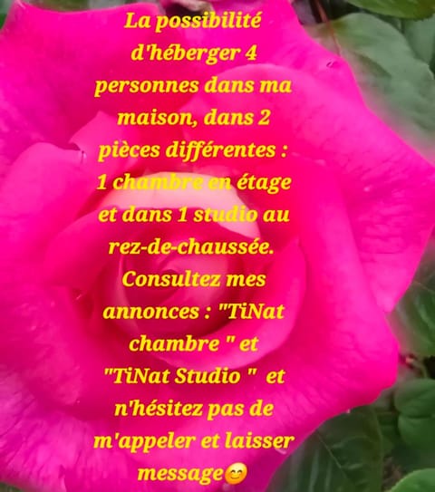 TiNat chambre Bed and Breakfast in Douarnenez