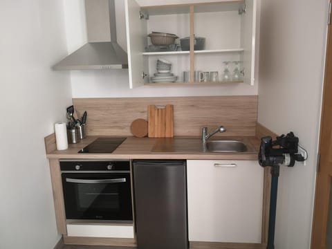 Kitchen or kitchenette, minibar, pet friendly, stove