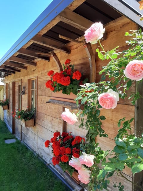 Appartamento per vacanze "IL GELSO" Apartment in Trentino-South Tyrol