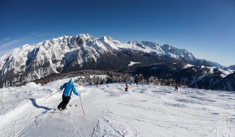 Winter, Ski School, Skiing