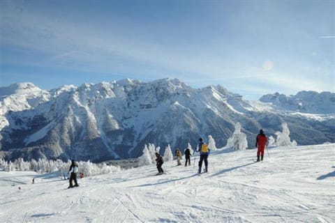 Winter, Ski School, Sports