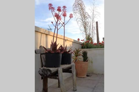 Salento. Nardò con magnifica terrazza Apartment in Nardò