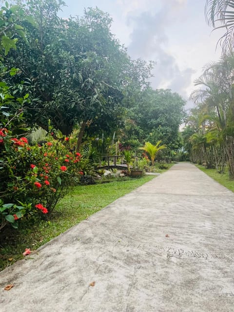 Street view, Quiet street view