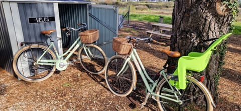 Cycling