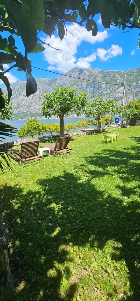 Apartments Popovic Apartment in Kotor Municipality