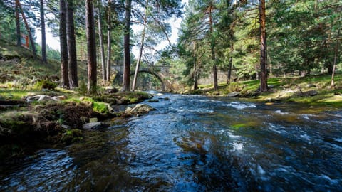 Natural landscape, Hiking