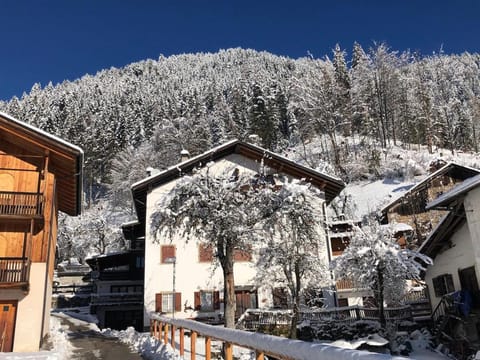 Property building, Natural landscape, Winter