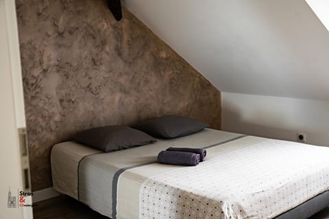 Belles combles alsaciennes au centre de Strasbourg Apartment in Strasbourg