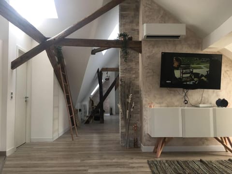 Belles combles alsaciennes au centre de Strasbourg Apartment in Strasbourg