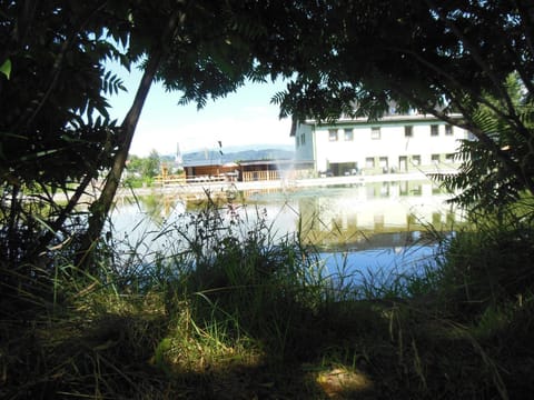 Property building, Property logo or sign, Natural landscape, Snorkeling, View (from property/room), Diving, City view, Garden view, Mountain view, Pool view, Area and facilities, Swimming pool, Swimming pool, Sports