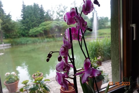 Ferienwohnung Poganz Apartment in Carinthia, Austria