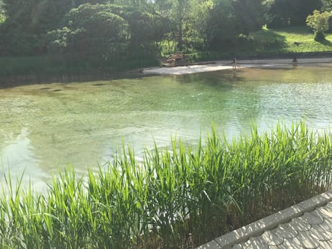 Ferienwohnung Poganz Apartment in Carinthia, Austria