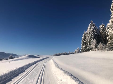 Fewo in Tiefenberg/ Allgäu Condo in Sonthofen