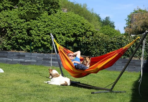 Mosselbank 22 - Noordzeepark Ouddorp - Swiss Mossel House in Ouddorp