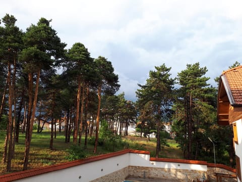 Inner courtyard view