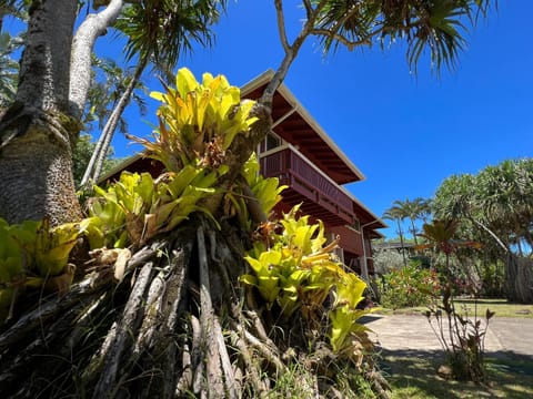 River Estate Riverhouse House in Kauai