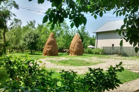 Natural landscape, Garden, Garden view