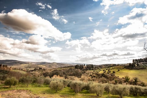Natural landscape