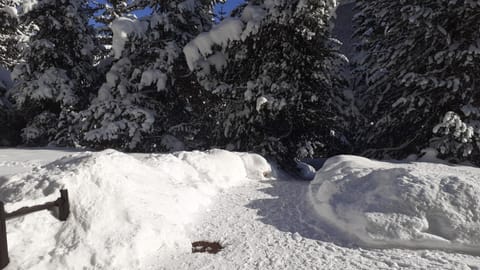 Appartamento Pragelato centro con giardino privato Apartment in Piedmont