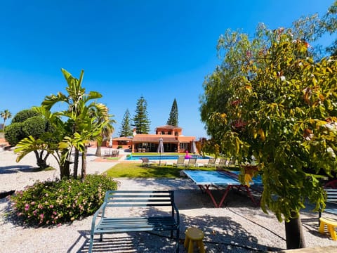 Spring, Garden, Garden view, Pool view, Swimming pool, sunbed