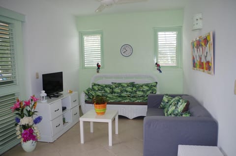 Little paradise in middle of beautiful beaches! Condo in Las Terrenas