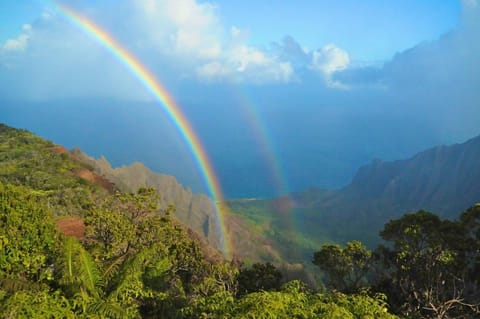 Waipouli Beach Resort Gorgeous Luxury Ocean View Condo! Sleeps 8! Apartment in Kauai