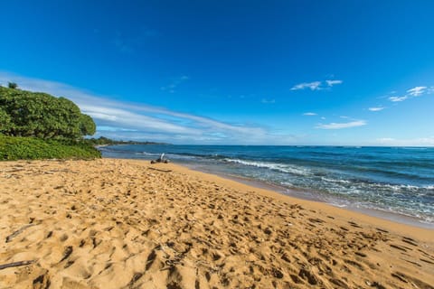 Waipouil Beach Resort Gorgeous Ocean Front Condo! Sleeps 8 AC Pool Apartment in Kauai